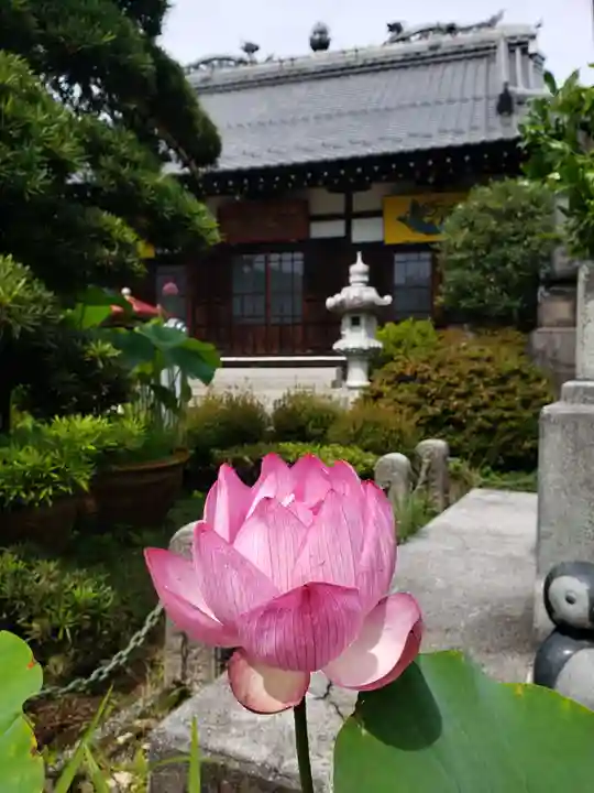 長善寺(東京都)