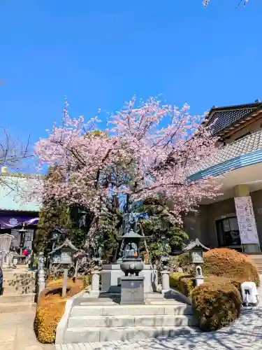 密藏院の{uncategorized: "未分類", other: "その他", undefined: "問題あり", building: "その他建物", grave: "お墓", sacred_gate: "鳥居", guardian: "狛犬", statue: "像", buddha: "仏像", history: "歴史", nature: "自然", garden: "庭園", animal: "動物", pagoda: "塔", temizu: "手水舎", mountain_gate: "山門・神門", sanctuary: "本殿・本堂", subordinate: "末社・摂社", art: "芸術", scenery: "景色", jizo: "地蔵", ema: "絵馬", goshuin: "御朱印", omikuji: "おみくじ", items: "授与品その他", amulet: "お守り", goshuincho: "御朱印帳", eats: "食事", festival: "お祭り", votive_dance: "神楽", shichigosan: "七五三参", wedding: "結婚式", experience: "体験その他", initially: "初詣", around: "周辺", anti_infection: "感染症対策"}