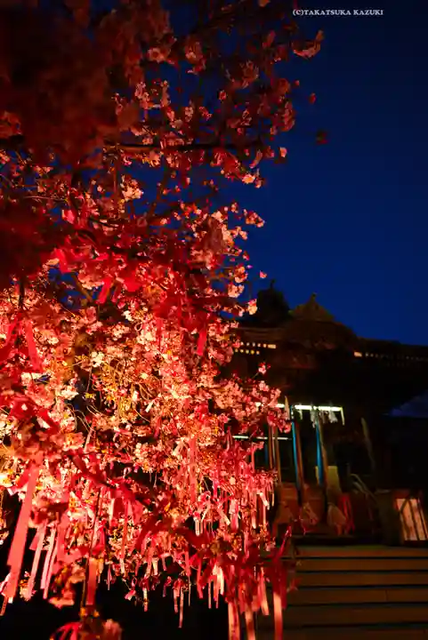 桜神宮(東京都)