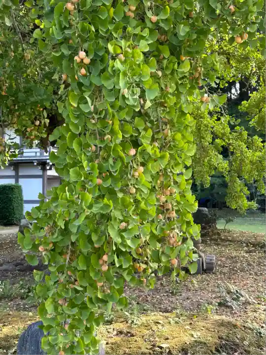 西光院(茨城県)