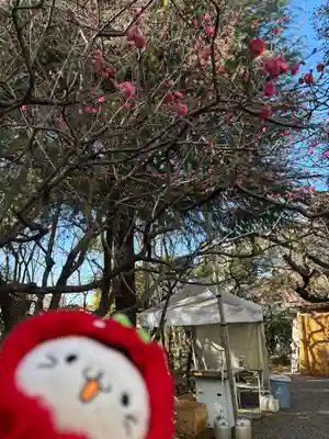 牛天神北野神社(東京都)