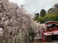 小川諏訪神社の自然