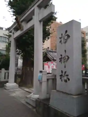 柏神社の鳥居