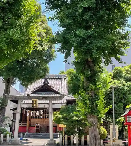 江島杉山神社の鳥居
