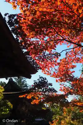 円成寺(奈良県)