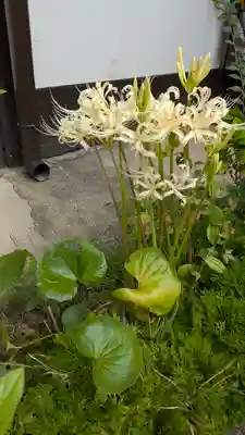 尊陽院(京都府)