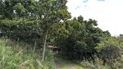 稲荷神社の自然