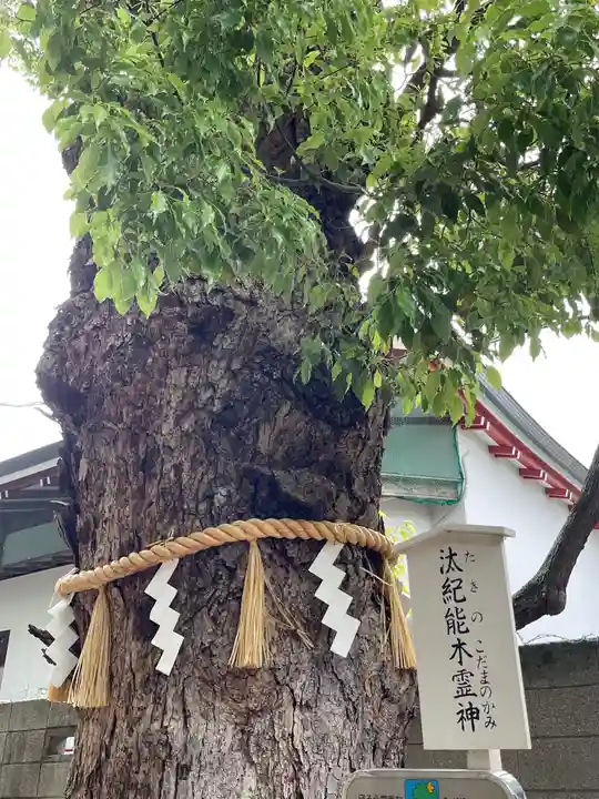 阿倍王子神社の自然