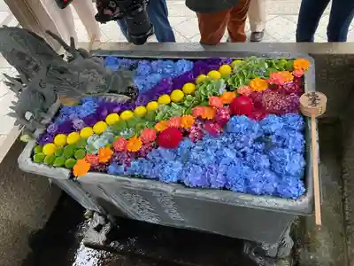 柳谷観音 楊谷寺の手水舎