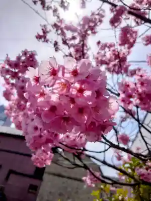 阿邪訶根神社(福島県)