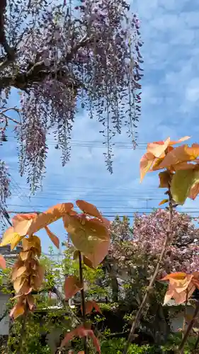 乘願院(京都府)