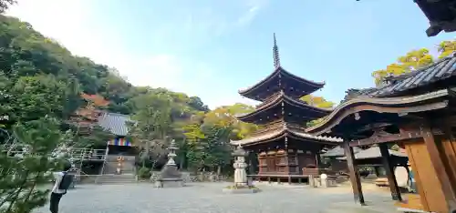 石手寺の{uncategorized: "未分類", other: "その他", undefined: "問題あり", building: "その他建物", grave: "お墓", sacred_gate: "鳥居", guardian: "狛犬", statue: "像", buddha: "仏像", history: "歴史", nature: "自然", garden: "庭園", animal: "動物", pagoda: "塔", temizu: "手水舎", mountain_gate: "山門・神門", sanctuary: "本殿・本堂", subordinate: "末社・摂社", art: "芸術", scenery: "景色", jizo: "地蔵", ema: "絵馬", goshuin: "御朱印", omikuji: "おみくじ", items: "授与品その他", amulet: "お守り", goshuincho: "御朱印帳", eats: "食事", festival: "お祭り", votive_dance: "神楽", shichigosan: "七五三参", wedding: "結婚式", experience: "体験その他", initially: "初詣", around: "周辺", anti_infection: "感染症対策"}