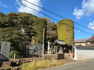 真蔵院(千葉県)