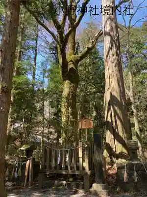 小野神社(長野県)