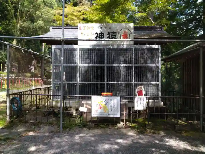 日吉大社(滋賀県)