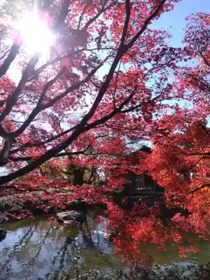西山金刀羅宮(福井県)