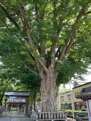 住吉神社(岩手県)