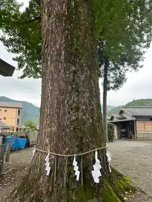 花岡神社(三重県)