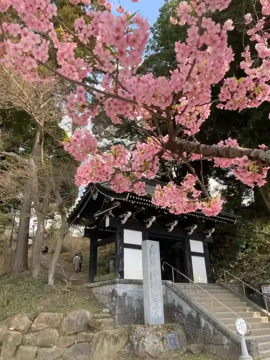 楽法寺(雨引観音)(茨城県)