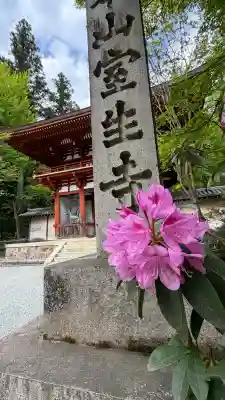 室生寺の{uncategorized: "未分類", other: "その他", undefined: "問題あり", building: "その他建物", grave: "お墓", sacred_gate: "鳥居", guardian: "狛犬", statue: "像", buddha: "仏像", history: "歴史", nature: "自然", garden: "庭園", animal: "動物", pagoda: "塔", temizu: "手水舎", mountain_gate: "山門・神門", sanctuary: "本殿・本堂", subordinate: "末社・摂社", art: "芸術", scenery: "景色", jizo: "地蔵", ema: "絵馬", goshuin: "御朱印", omikuji: "おみくじ", items: "授与品その他", amulet: "お守り", goshuincho: "御朱印帳", eats: "食事", festival: "お祭り", votive_dance: "神楽", shichigosan: "七五三参", wedding: "結婚式", experience: "体験その他", initially: "初詣", around: "周辺", anti_infection: "感染症対策"}