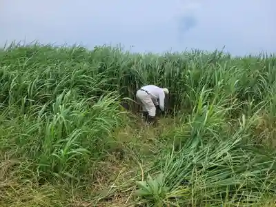 伏木香取神社(茨城県)