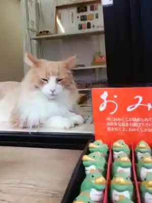 駒込妙義神社(東京都)