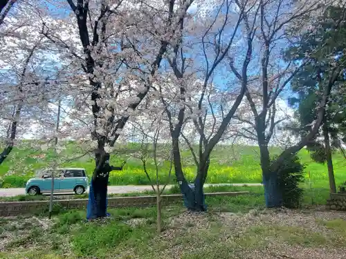 御厨神社（福富町）の自然