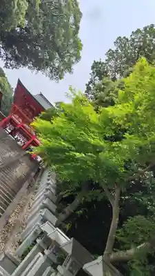 近江神宮(滋賀県)