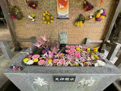 鎌数伊勢大神宮の手水舎