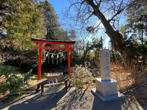 鷲宮神社の鳥居