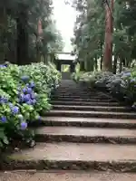 大中寺(栃木県)