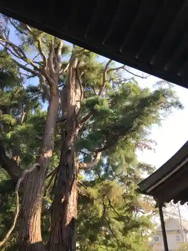 玉林寺のその他建物
