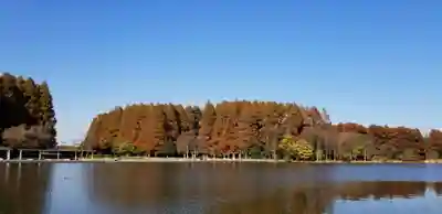 徳島稲荷神社(埼玉県)