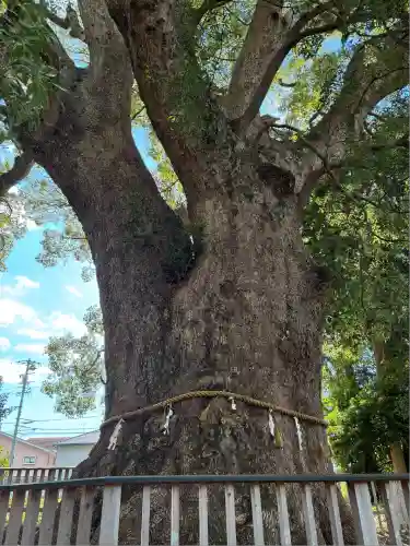 伊勢神明社(静岡県)