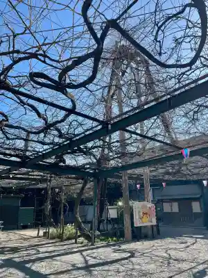 國領神社の{uncategorized: "未分類", other: "その他", undefined: "問題あり", building: "その他建物", grave: "お墓", sacred_gate: "鳥居", guardian: "狛犬", statue: "像", buddha: "仏像", history: "歴史", nature: "自然", garden: "庭園", animal: "動物", pagoda: "塔", temizu: "手水舎", mountain_gate: "山門・神門", sanctuary: "本殿・本堂", subordinate: "末社・摂社", art: "芸術", scenery: "景色", jizo: "地蔵", ema: "絵馬", goshuin: "御朱印", omikuji: "おみくじ", items: "授与品その他", amulet: "お守り", goshuincho: "御朱印帳", eats: "食事", festival: "お祭り", votive_dance: "神楽", shichigosan: "七五三参", wedding: "結婚式", experience: "体験その他", initially: "初詣", around: "周辺", anti_infection: "感染症対策"}