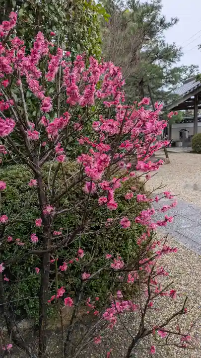後白河院御聖蹟 法住寺(京都府)