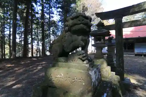 沢井八幡神社の狛犬