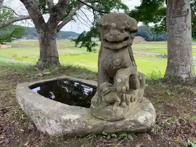 天満神社の狛犬