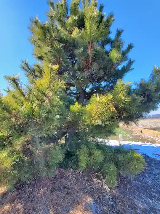 八幡宮(久保田町)(栃木県)