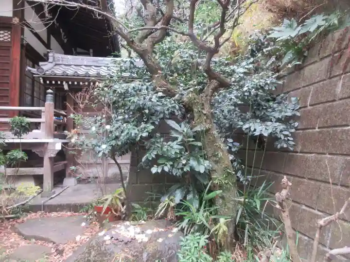 専光寺(東京都)