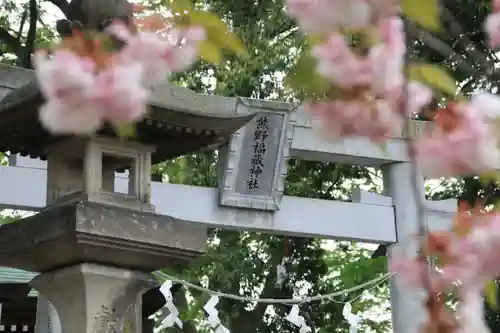 熊野福藏神社の鳥居