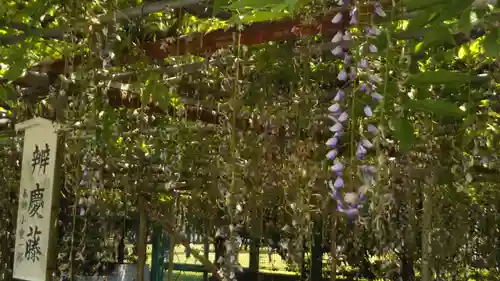 白旗神社の庭園