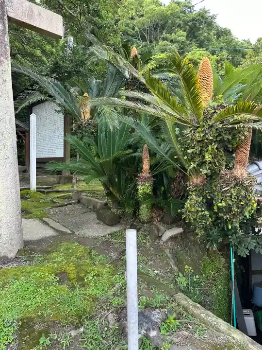 吾平津神社の自然