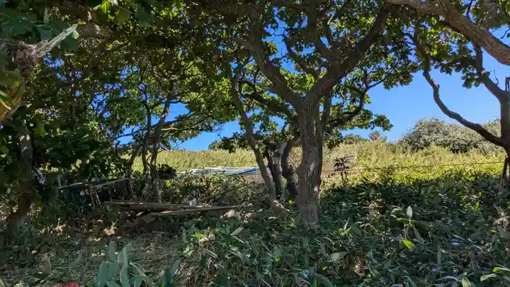 歌露稲荷神社の庭園