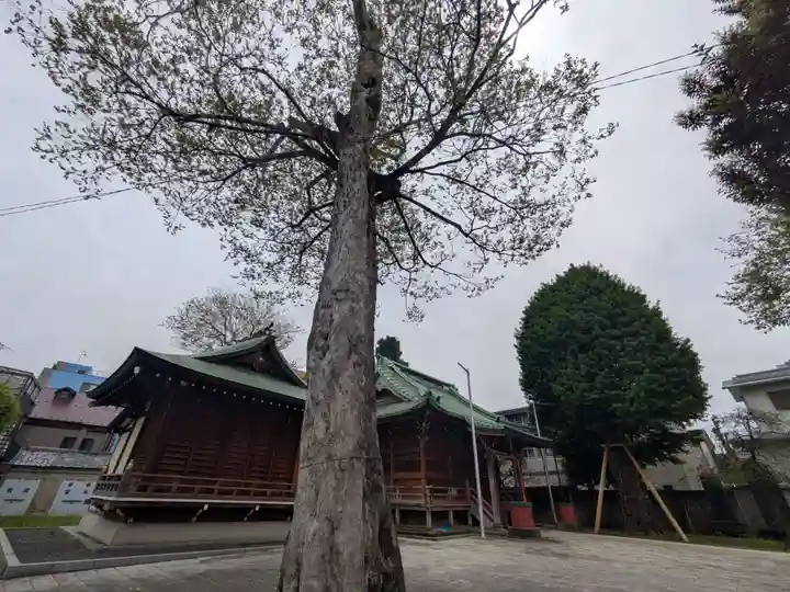 岩淵八雲神社(東京都)