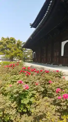 建仁寺（建仁禅寺）の庭園