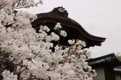 仁和寺の自然