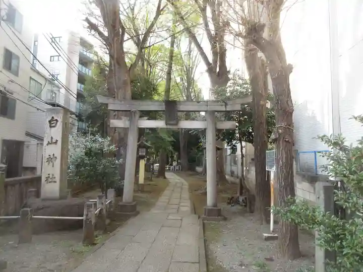 荻窪白山神社の鳥居