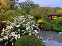 東寺（教王護国寺）の庭園