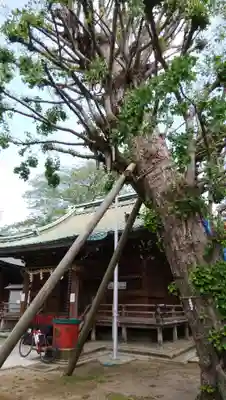 岩淵八雲神社の本殿・本堂
